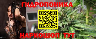 стафф Обь