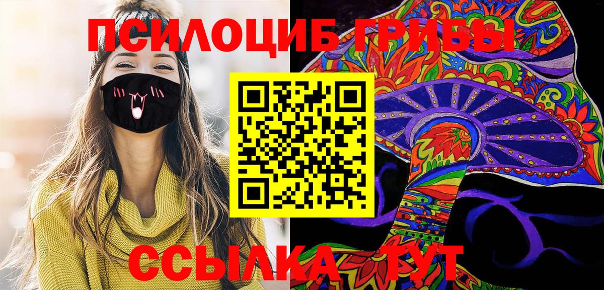 Псилоцибиновые грибы Psilocybe Урюпинск